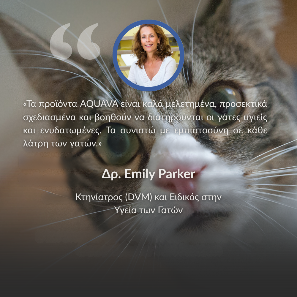 AQUAVA™ Συντριβάνι Πόσιμου Νερού