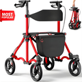 Συμπαγές Rollator Master με Κάθισμα