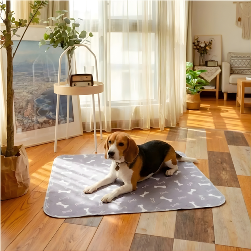 DryPaws™ – Στεγανό Επίθεμα για Σκύλους