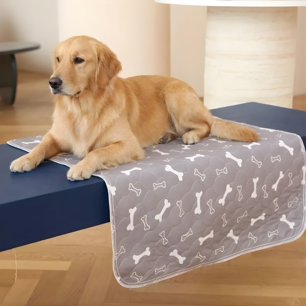 DryPaws™ – Στεγανό Επίθεμα για Σκύλους