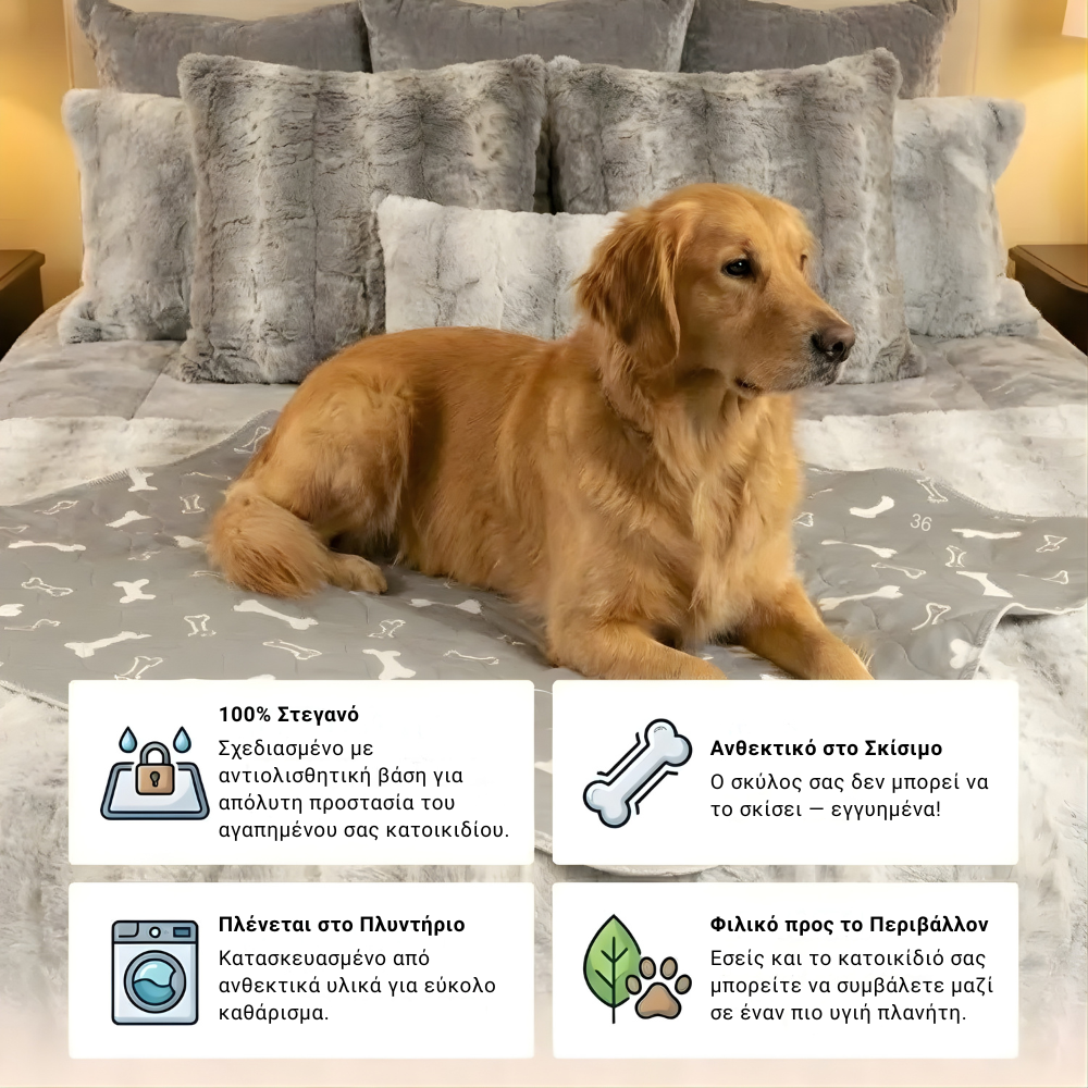 DryPaws™ – Στεγανό Επίθεμα για Σκύλους