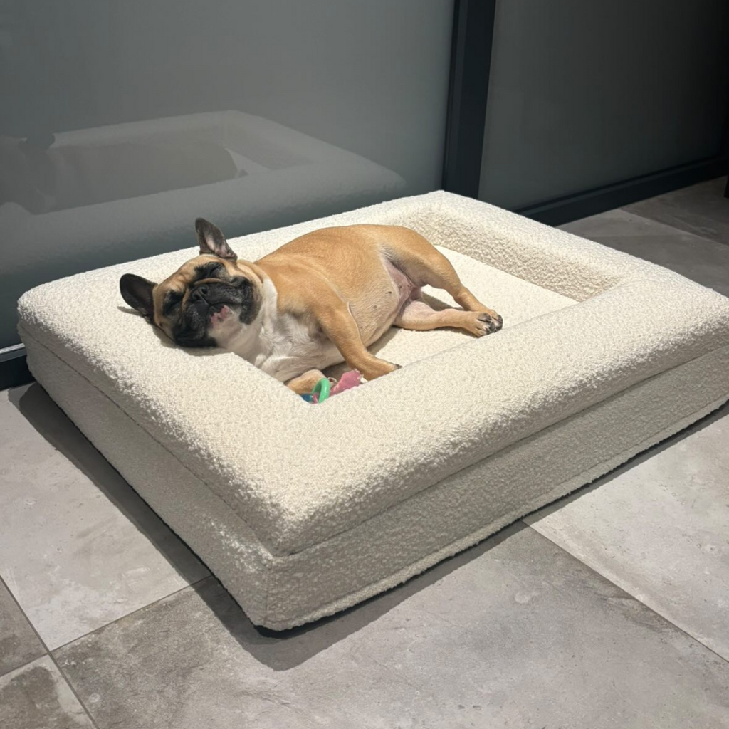 Ορθοπεδικό Μαξιλάρι Σκύλου – Λευκό Μπουκλέ